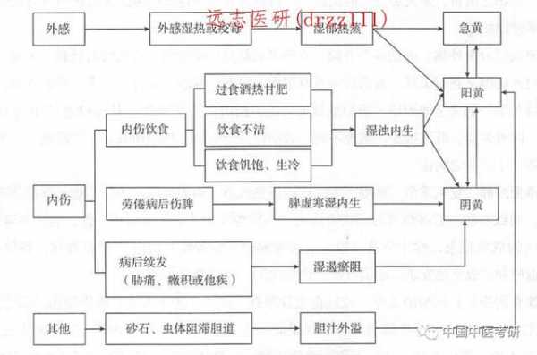 病因过程（病因描述的基本方法）-图1