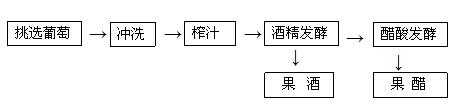 果醋的制作过程（果醋制作过程中应连续充入无菌空气）-图1