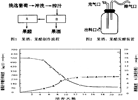 果醋的制作过程（果醋制作过程中应连续充入无菌空气）-图2