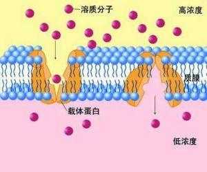 扩散过程吸收能量（扩散过程的能量变化）-图2