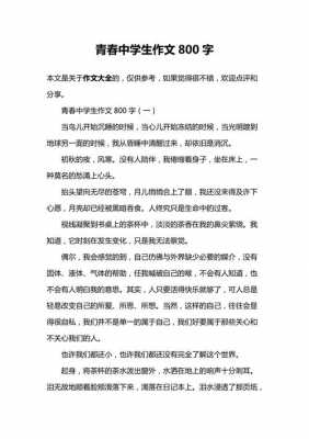 过程的重要作文600（过程很重要作文800字作文）-图2