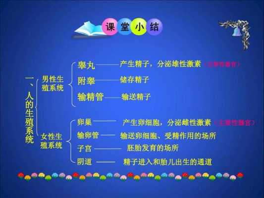 人类的生殖发育过程（人类的生殖发育过程思维导图）-图1