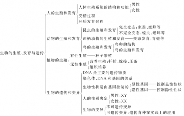 人类的生殖发育过程（人类的生殖发育过程思维导图）-图2