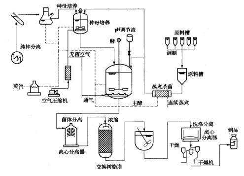 关于发酵过程检验产物（关于发酵过程检验产物的方法）-图1