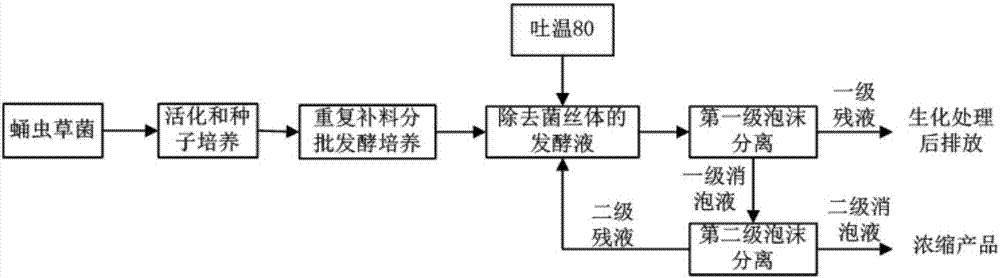 关于发酵过程检验产物（关于发酵过程检验产物的方法）-图3