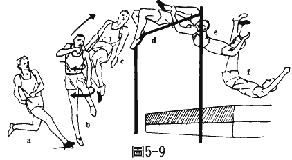 跳高过程功能关系（跳高的过程是由哪四部分完成）-图1