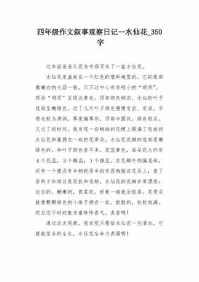 水仙成长过程报告（水仙成长过程作文）-图3