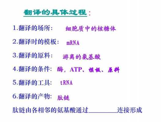 翻译过程中原料（翻译的原料和产物）-图1