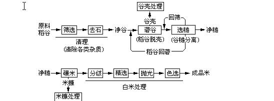 大米的制造过程图片（大米的生产制作过程）-图1