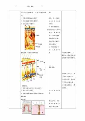 汗液过程（汗液形成的基本条件）-图3