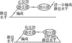 哪个过程负反馈（举例说明负反馈的过程）-图3