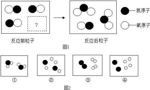 细胞凋亡宏观过程（细胞凋亡宏观过程包括）-图1