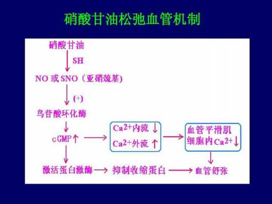 硝酸甘油过程（硝酸甘油的用药机制）-图1