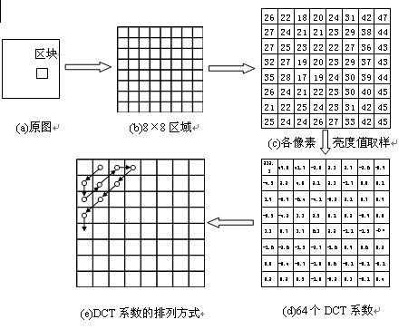 编码过程指的是（编码过程是什么变换）-图3