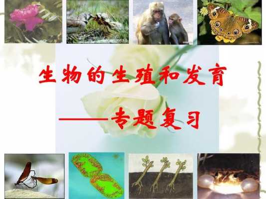 生物的生殖特点过程（生物的生殖特点过程科普文600字作文）-图3