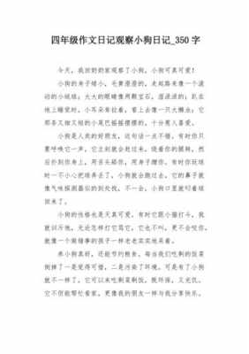 小狗观察过程（小狗观察过程作文）-图1