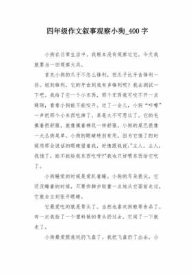 小狗观察过程（小狗观察过程作文）-图2