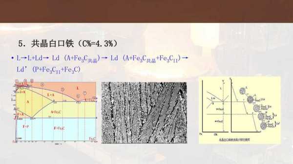 铁碳合金的结晶过程（铁碳合金的结晶过程示意图）-图3