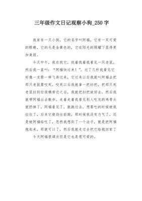 制作小狗的过程日记（小狗的制作方法）-图3