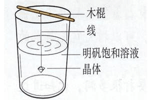 培养晶体详细过程（培养晶体详细过程图片）-图3