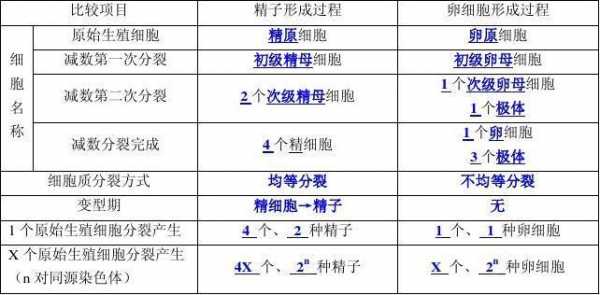 关于精子形成过程表格的信息-图2