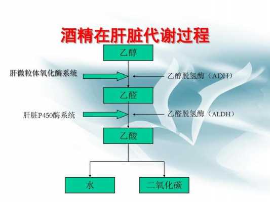 酒精在体内的代谢过程（酒精在体内的代谢过程属于几相反应）-图3