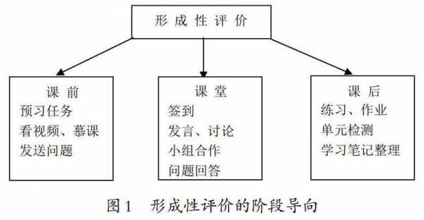 形成性评价过程性评价（形成性评价过程性评价绝对性评价相对性评价）-图1