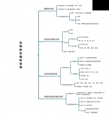 生物的生殖过程（生物的生殖方式）-图1