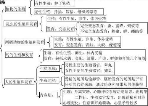 生物的生殖过程（生物的生殖方式）-图2