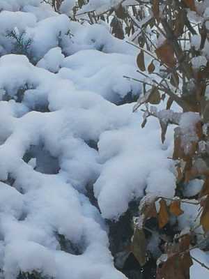 雪融化变化过程（雪融化变成云的过程）-图3