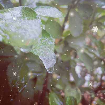 雪融化变化过程（雪融化变成云的过程）-图2