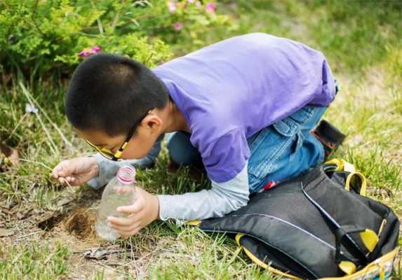 捉蚂蚁方法和过程（抓蚂蚁的方法）-图2