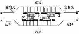 真理的单向过程双向过程（真理的单向过程双向过程是指）-图3