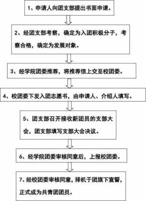 当团员的过程（当团员需要干什么）-图2