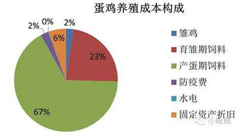 蛋鸡生产过程（蛋鸡生产过程中用药成本）-图1