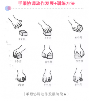 动作产生的过程（动作是怎样产生的）-图3