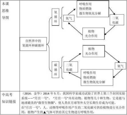 氧气代谢过程（氧气代谢过程图解）-图3