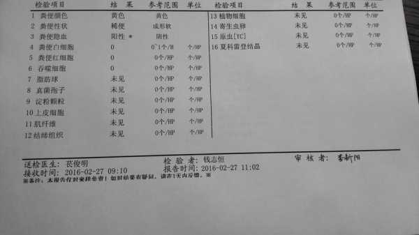 大便检查过程（大便检查的项目）-图3