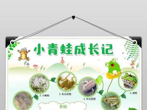 包含小青蛙变化过程的词条-图3