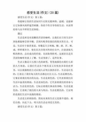 感受生活的过程（感受生活篇）-图3