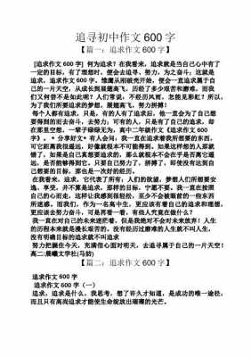 关于追求过程的作文（关于追求过程的作文600字）-图2