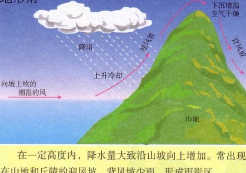 暴雨过程线（暴雨形成过程）-图1