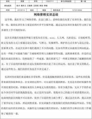 网络推广实习过程（网络推广实训总结报告）-图1