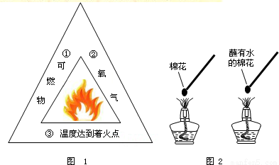 燃烧过程图（燃烧过程分析）-图2