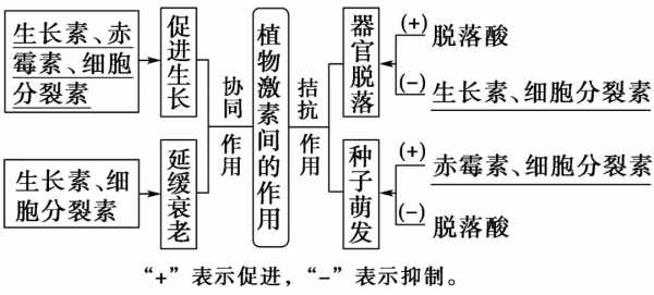 植物激素的合成过程（植物激素的合成受什么影响）-图2