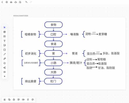 食物的消化过程时间（食物的消化时间跟顺序）-图2