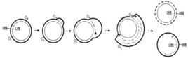 d环复制过程（D环复制过程）-图1