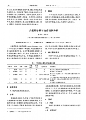 宠物典型病例诊治过程（宠物常见病例分析）-图3