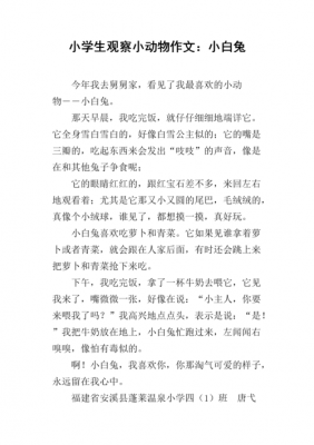 小兔成长的过程作文（小兔成长记）-图2