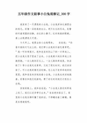 小兔成长的过程作文（小兔成长记）-图1